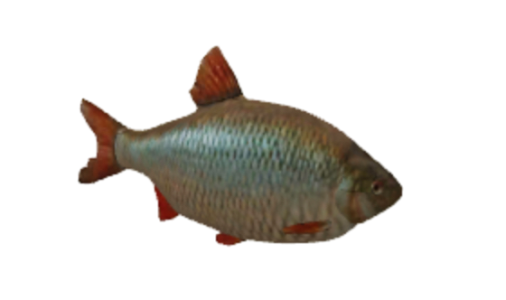 Fish Game, Roblox Wiki