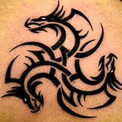 Three Headed Dragon Tattoo  Celtic dragon tattoos Tribal dragon tattoos Dragon  tattoo designs
