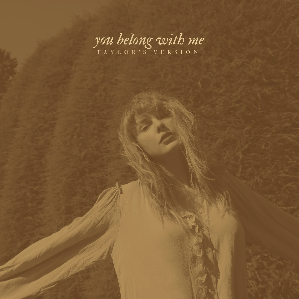 You Belong With Me | Taylor Swift Fanon Wiki | Fandom