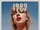 The More 1989 (Taylor's Version) Chapter