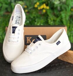 Keds Taylor Swift Wiki Fandom