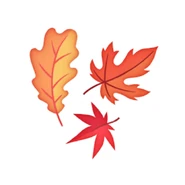 Autumn is a special time when every leaf is as beautiful as a flower.