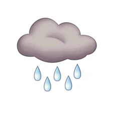 When life gives you rain...