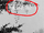 Woodvale theories