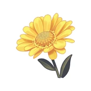 A sunflower can grow up to ten feet tall!