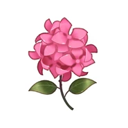 Don’t forget to stop and smell the pink flowers.