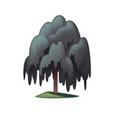 What are willow trees so sad about, anyway?