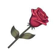 Every rose has a thorn.