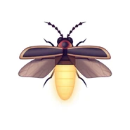 A chemical reaction gives a firefly their glow, making them bioluminescent. Shiny!