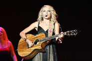 Swift, Taylor (2007)