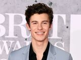 Shawn Mendes