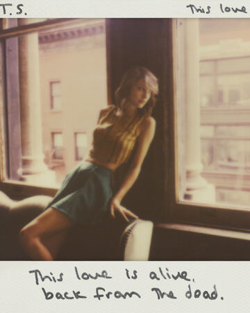 This Love Taylor Swift Wiki Fandom This Love Taylor Swift Wiki Fandom