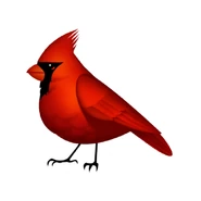 Does this cardinal know the future?