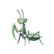 Early civilizations believed the mantis had supernatural powers.