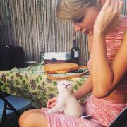 Olivia the cat.jpg