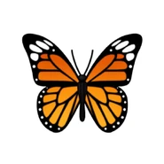 Butterflies are proof that change can be a beautiful thing.