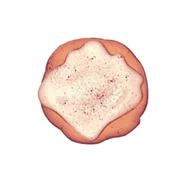 Nothing better than cookies straight out of the oven.