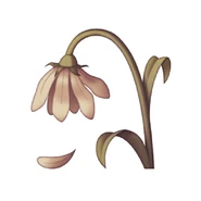 What does it take to get a drink ‘round here?