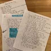 Debut-handwrittenlyrics1