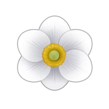 A daisy is technically two flowers - the outer layer petals count as one and the inner yellow petals are another.