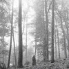 Folklore (8.05 MB) Folklore July 24, 2020