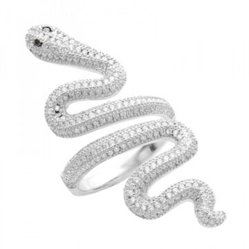 Taylor swift hotsell wearing snake ring