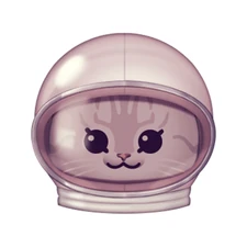 That’s one small step for a cat, one giant leap for felines.