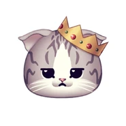 What do you mean I can’t be on the bed? I’m cat royalty!