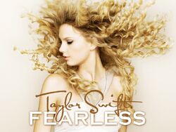Fearless by Taylor Swift (2-LP Vinyl, 2018, Platinum Edition