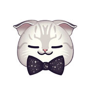 A purrfect bow tie!