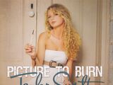 Picture To Burn