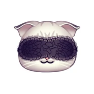 It’s time for my cat nap.