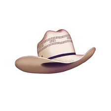 That’s a 10 gallon hat on a 2 gallon head, partner.