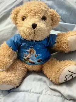 ミュージシャン Taylor Swift fearless teddy bear ミュージシャン