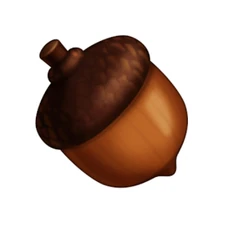 Acorns don’t grow on acorn trees, they grow on oak trees.