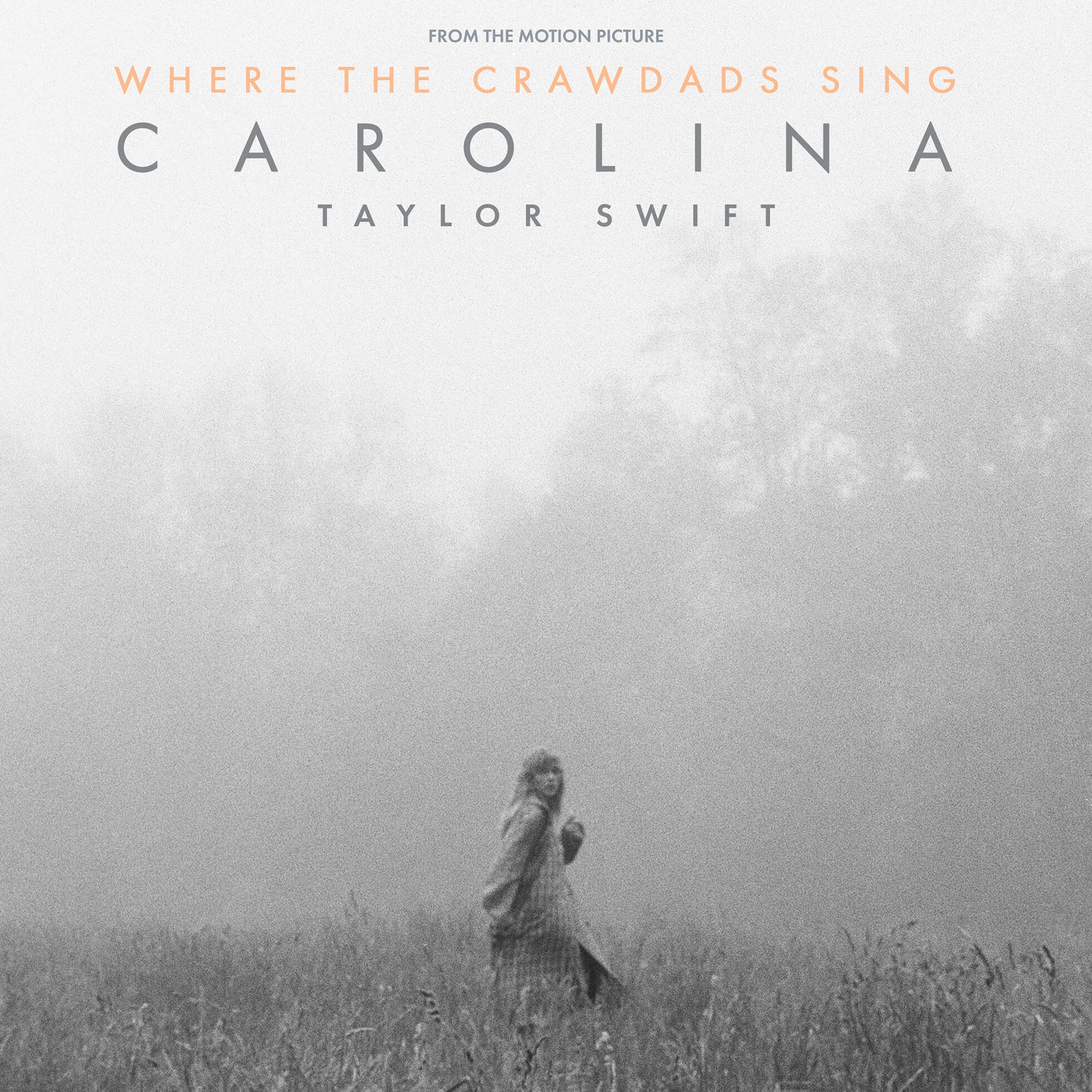 Carolina песня. Where the Crawdads Sing 2022. Carolina Taylor. Taylor Swift - Carolina (from the Motion picture “where the Crawdads Sing”).