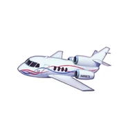 Taylor’s jet registration is “N898TS”