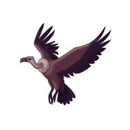 There are over 20 species of vulture across the world.