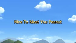 Nice To Meet You Peanut Title Card.jpg