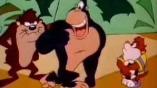 Gorilla Brothers | Taz Mania Wiki | Fandom