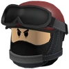 Raid Ready