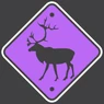 Caribou