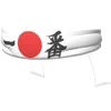 Blind Warrior