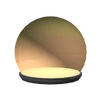 American Anomaly