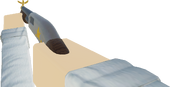 Agent's first person view.