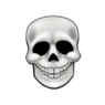 Vsb skull
