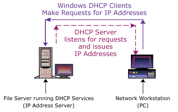 Dynamic IP Address | TC 201 Wiki | Fandom