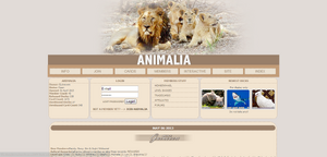 Animalia lay1