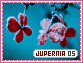 Jupernia-elements5