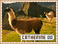 Catherine-elements0